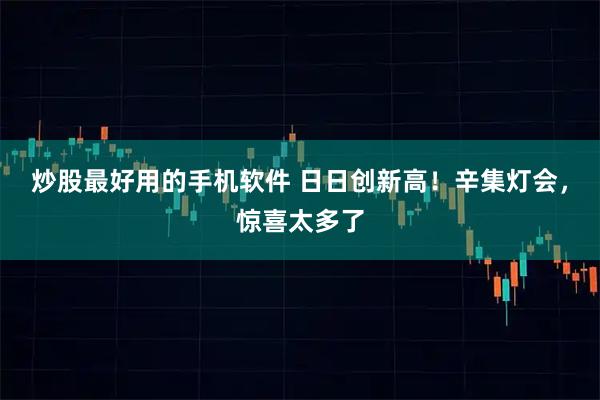 炒股最好用的手机软件 日日创新高！辛集灯会，惊喜太多了