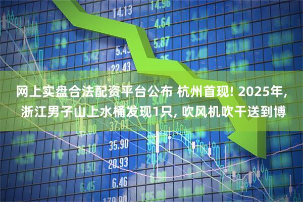 网上实盘合法配资平台公布 杭州首现! 2025年, 浙江男子山上水桶发现1只, 吹风机吹干送到博
