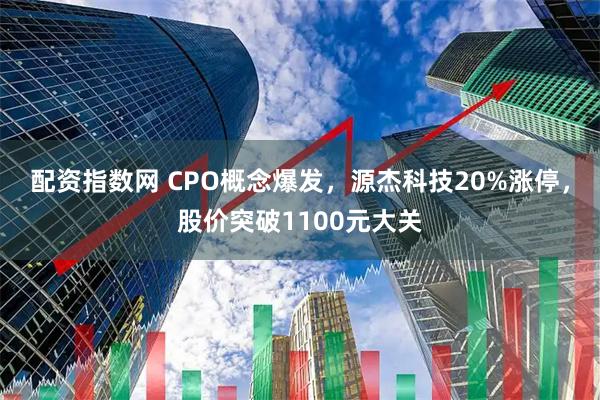 配资指数网 CPO概念爆发，源杰科技20%涨停，股价突破1100元大关
